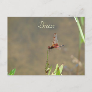 Nota Botánica Personalizada Vintage Red Dragonfly