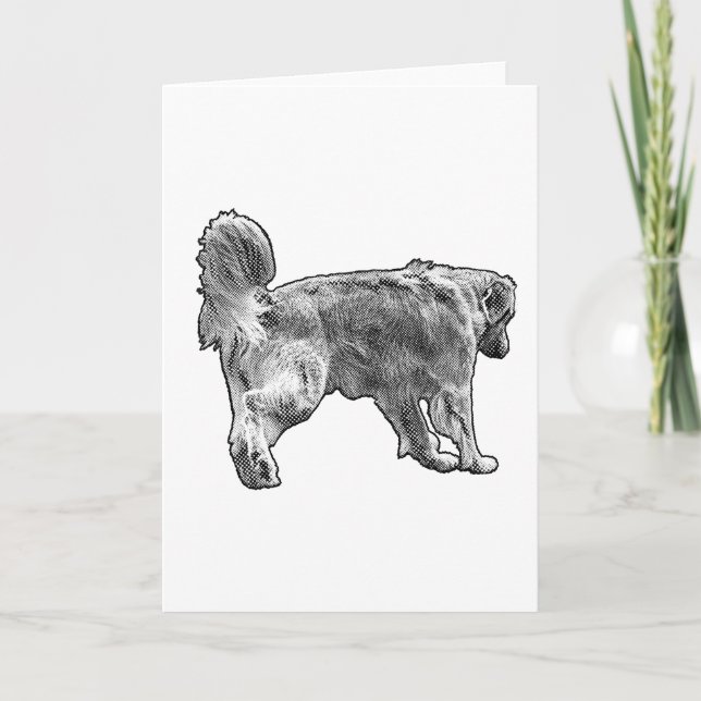 Nota Cálida, Paso Punteado (Anverso)