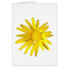 Nota Daisy - En blanco para su personalización