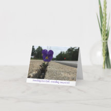 nota de agradecimiento a la flor silvestre urbana