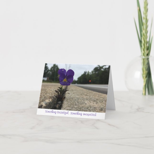 nota de agradecimiento a la flor silvestre urbana (Anverso)