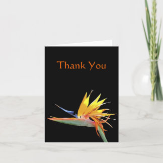Nota de agradecimiento Bird of Paradise