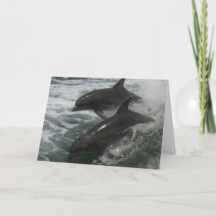 Nota de amor/amistad con delfines