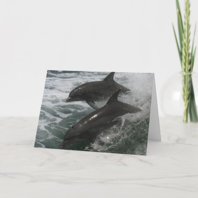 Nota de amor/amistad con delfines (Anverso)
