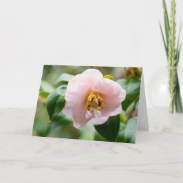 Nota de flor de camellia rosa