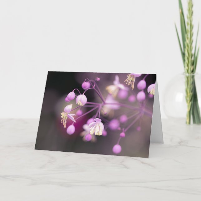 Nota de flores de pradera china (Anverso)