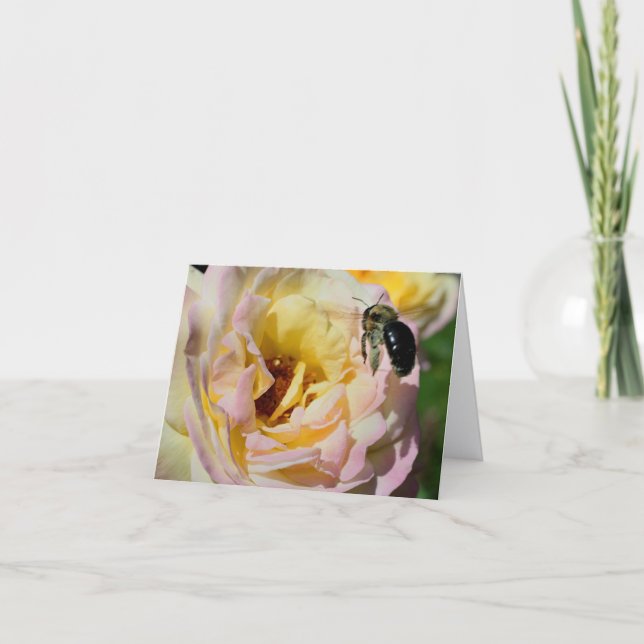 Nota de fotografía de abeja y flor de rosa (Anverso)