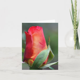 Nota de fotografía de flor de capullo de rosa amar