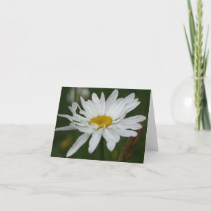 Nota de fotografía de flor de margarita blanca