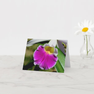 Nota de fotografía de flor de orquídea delicada