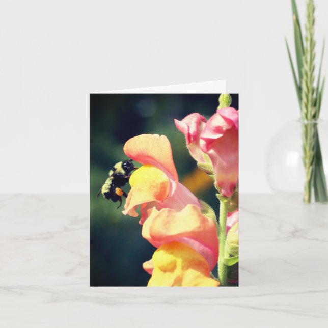 Nota de fotografía de flor de Snapdragon y abeja (Anverso)