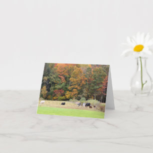 Nota De Fotografía De Foliage De Otoño De Vacas En