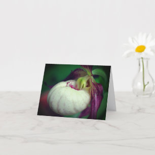 Nota de fotografía de la orquídea zapatilla de dam