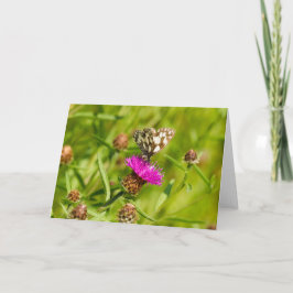 Nota de mariposa blanca mareada