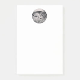 nota de post-it del beagle