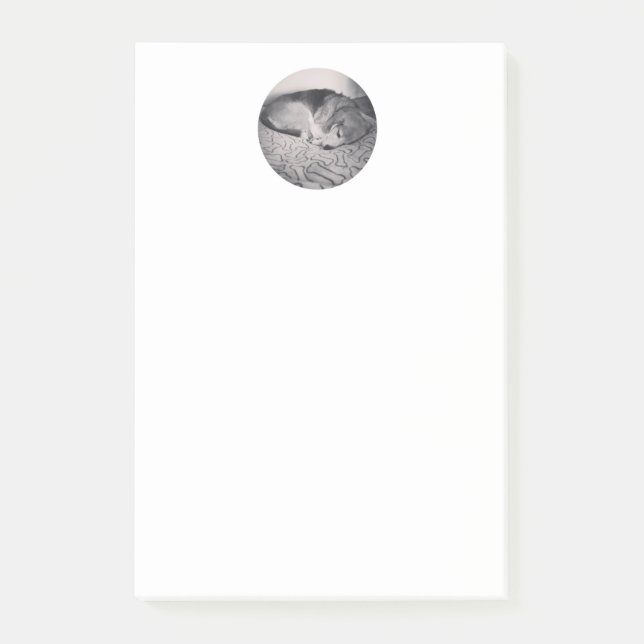 nota de post-it del beagle (Anverso)