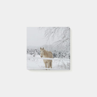 nota de post-it del caballo