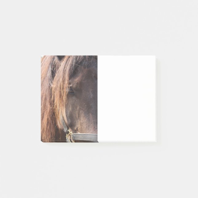 Nota de post-it del caballo (Anverso)