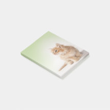 Nota de post-it del gatito