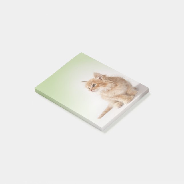 Nota de post-it del gatito (En perspectiva)