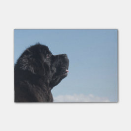 Nota de post-it pensativa de Inka