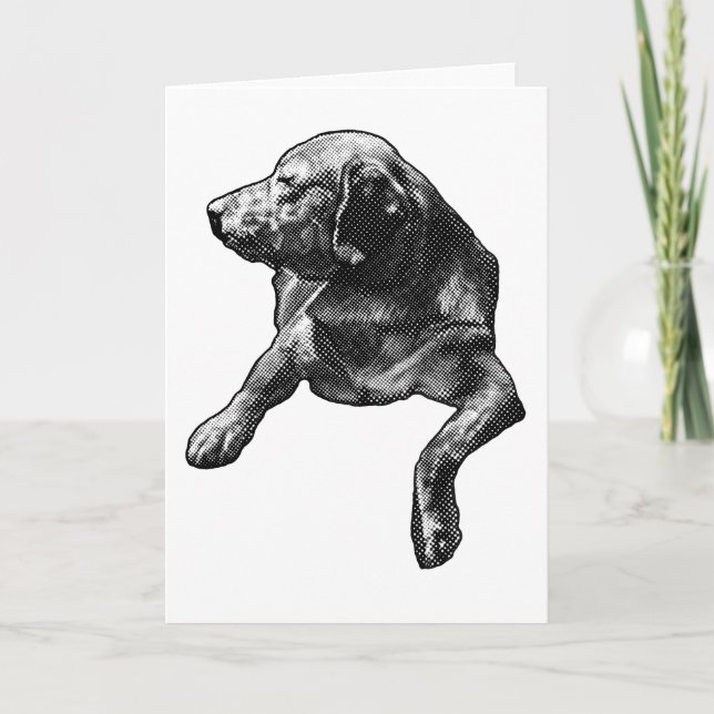 Nota de temporada de Dot-Soft de un laboratorio (Anverso)