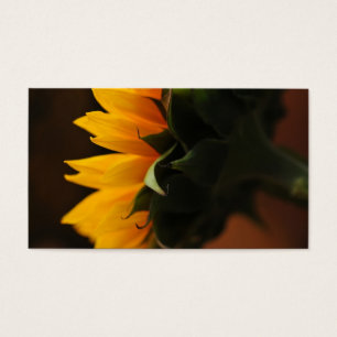 Nota dulce (girasol)