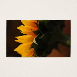 Nota dulce (girasol)