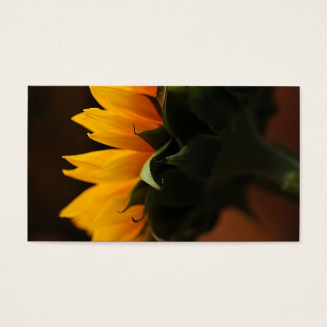 Nota dulce (girasol) (Frente)