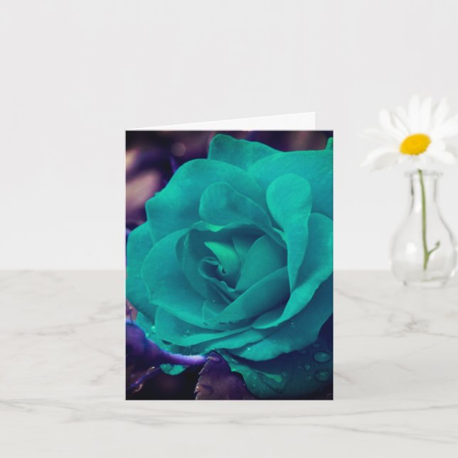 Nota en blanco de flor de Rosa Aqua (Planta pequeña)