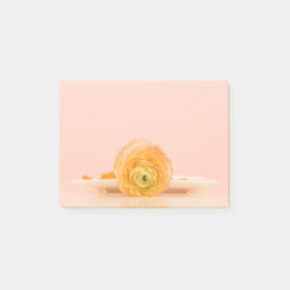 Nota Escribir Personalizado Personalizar el Home O