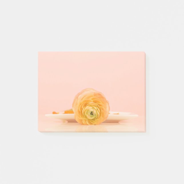 Nota Escribir Personalizado Personalizar el Home O (Anverso)