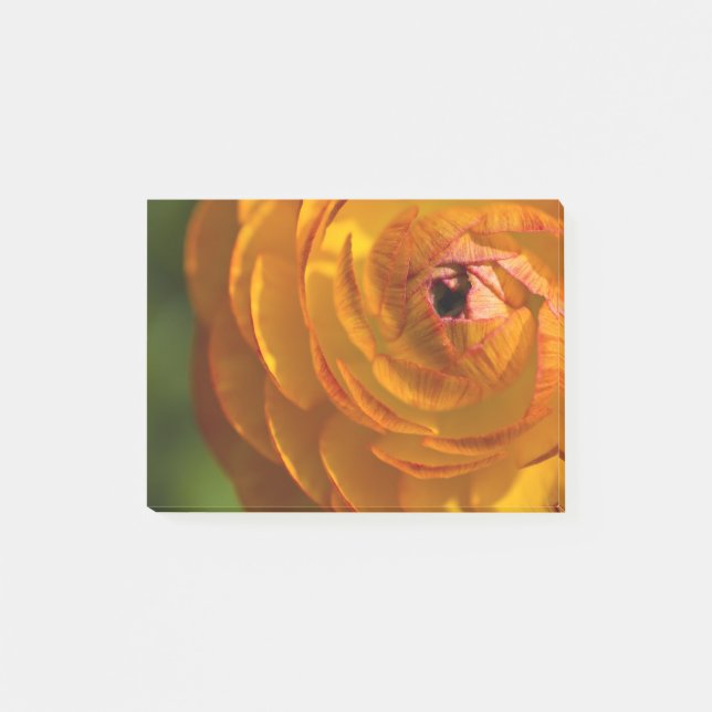 Nota Escribir Personalizado Personalizar el Home O (Anverso)