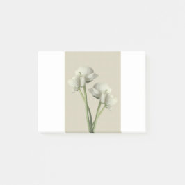 Nota Escribir Personalizado Personalizar el Home O