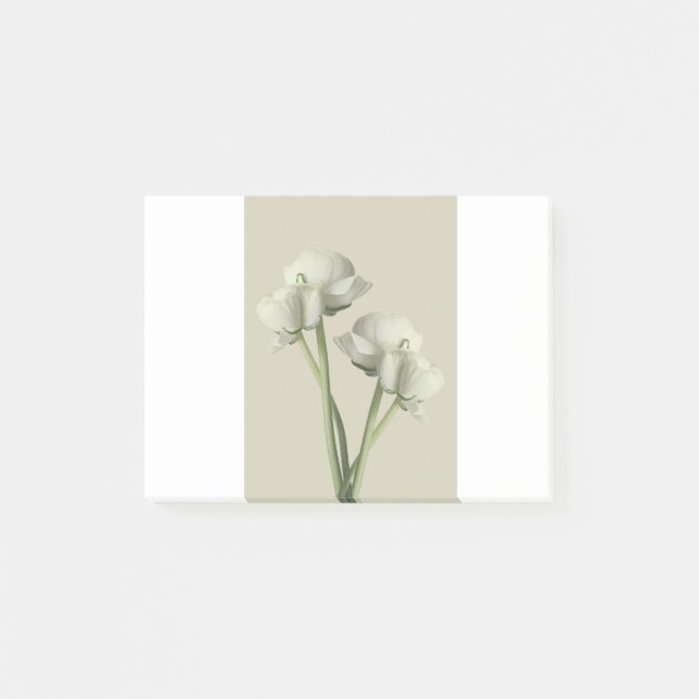 Nota Escribir Personalizado Personalizar el Home O (Anverso)