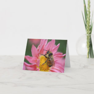 Nota fotográfica de abeja en flor de margarita ros