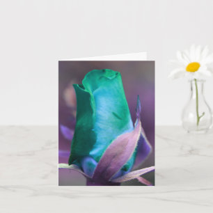 Nota fotográfica de la flor turquesa rosebud