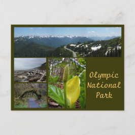 Nota olímpica (huracán Ridge, Kalaloch, Hoh)