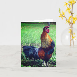 Nota para animales de la granja de cultivo de gall