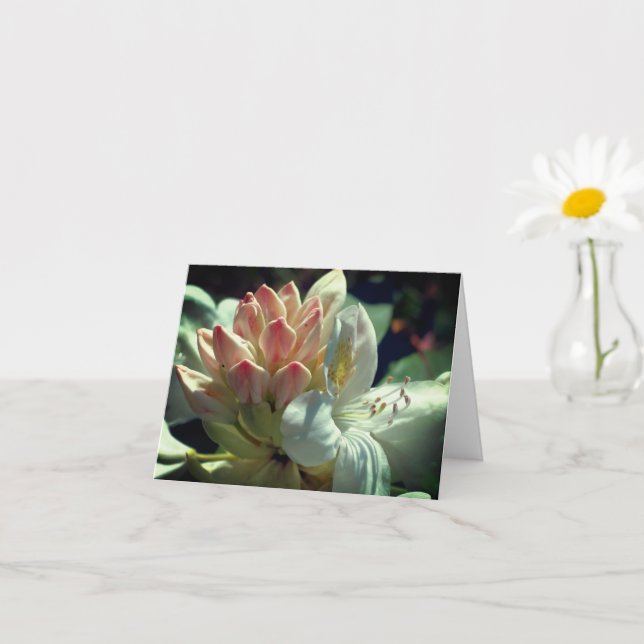 Nota personalizada de flor azalea blanca (Planta pequeña)