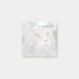 Nota personalizada del veterinario con foto de gat