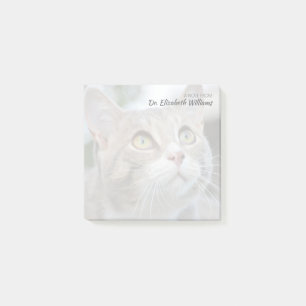 Nota personalizada del veterinario con foto de gat