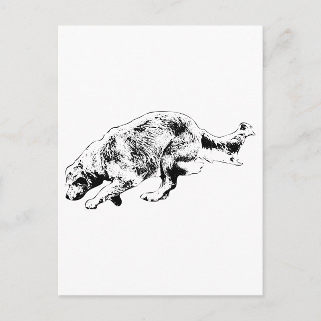 Nota rápida: Golden on the Go (Anverso)