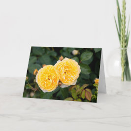 Nota sobre las rosas amarillas