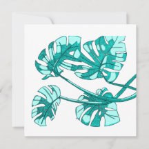 Notas de agradecimiento