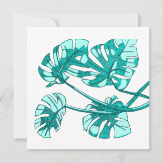 Notas de agradecimiento