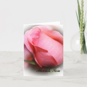 Notas de agradecimiento de Rosa Rosa