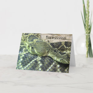 Notas de agradecimiento de serpiente verde, texto 