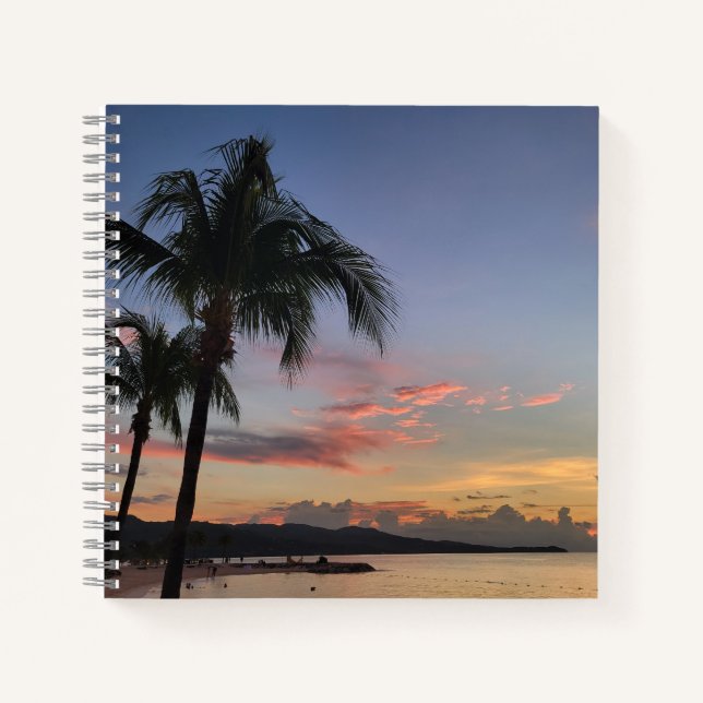 Notas de Atardecer: Elementos Esenciales Diarios (Anverso)