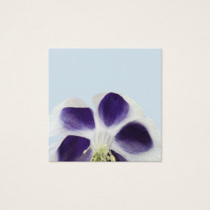 Notas de Norma de Arte Floral